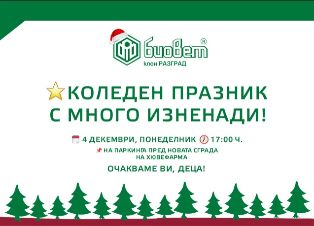 Футболистите на Лудогорец ще запалят светлините на коледната елха на Биовет