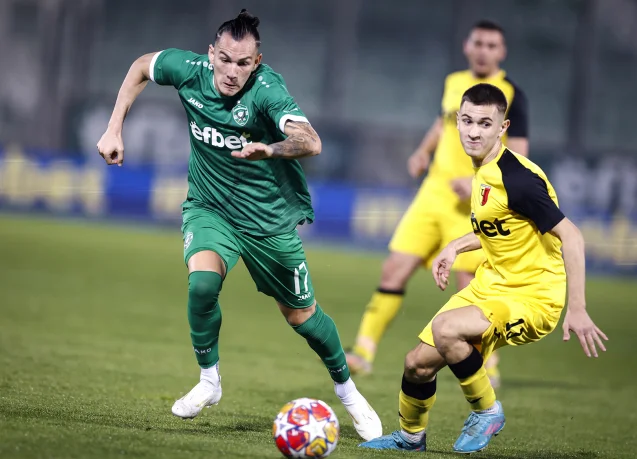 Ludogorets beat Chernolomets 6:0