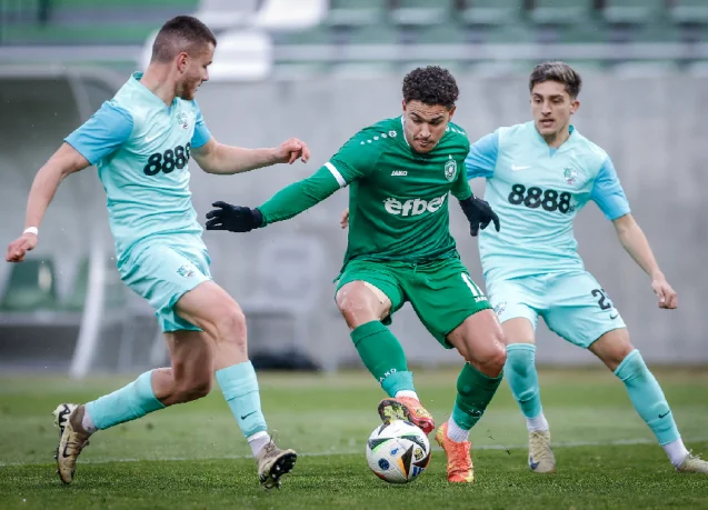Ludogorets defeated Beroe with two goals from Caio Vidal