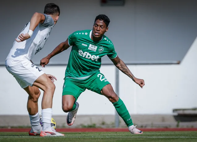 Ludogorets lost 0:2 to Hradec Kralove