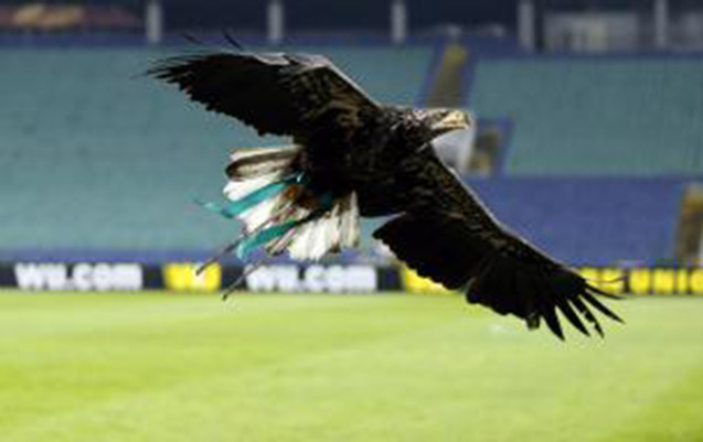 Fortuna is the name of the Ludogorets eagle | PFC Ludogorets